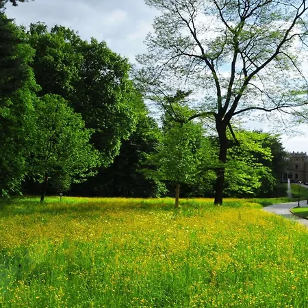 Hotel Schloss Eckberg Dresde