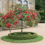 Hotel Schloss Eckberg 4*
