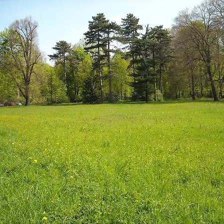 Hotel Schloss Eckberg Dresde