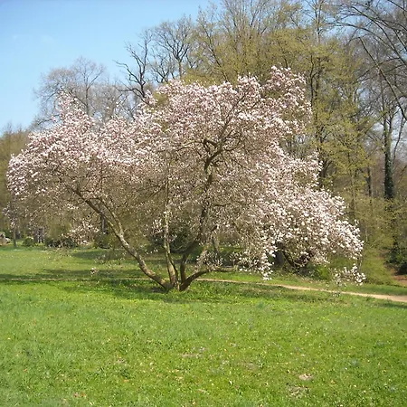 Hotel Schloss Eckberg Dresde