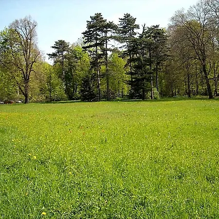 Schloss Eckberg 4*