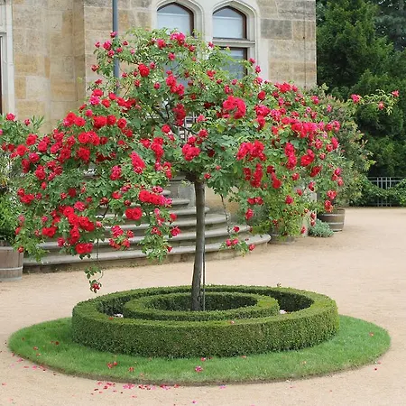 ホテル シュロス エックベルク 4*