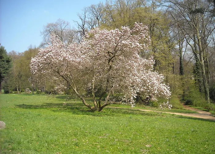Отель Schloss Eckberg Дрезден