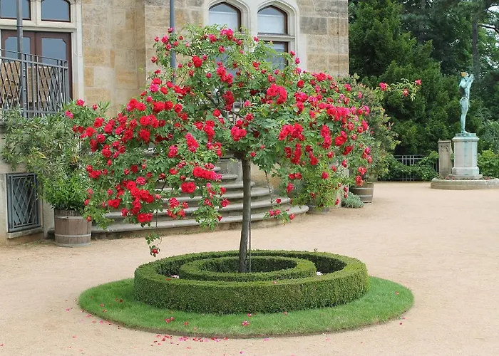 Отель Schloss Eckberg 4*